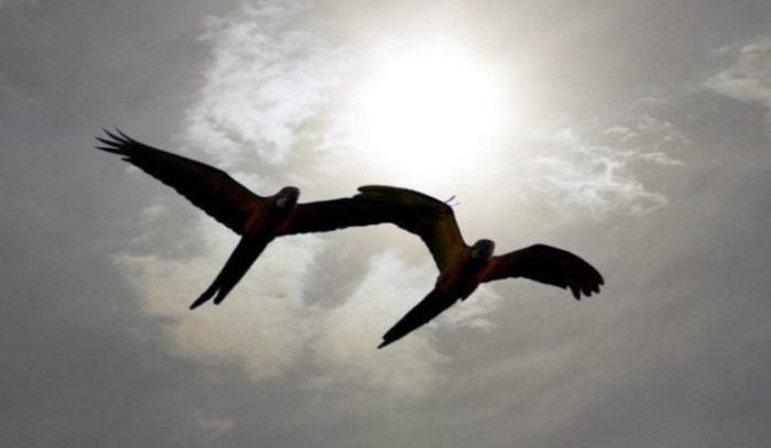 Quarta-feira típica de verão com sol, calor e chuvas em Mato Grosso do Sul