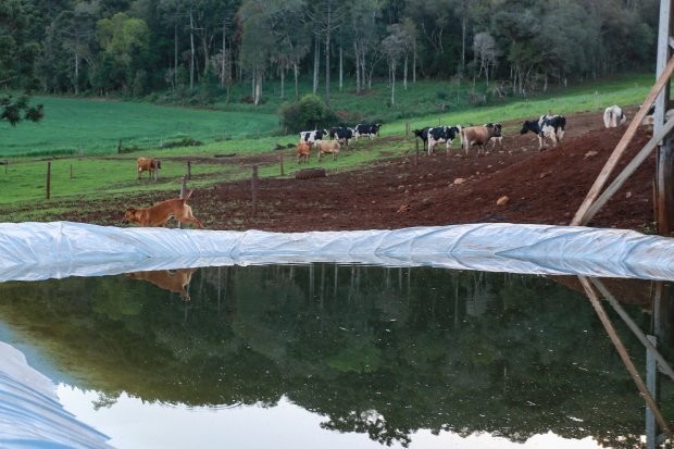  Estado tem intensificado trabalho para minimizar efeitos da estiagem - Foto: Julio Cavalheiro/Secom