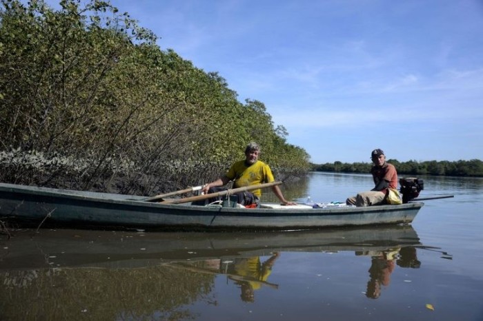 Pescadores no manguezal da Área de Proteção Ambiental de Guapi-Mirim na Baía da Guanabara (RJ) - (Foto: Tânia Rêgo/Agência Brasil)