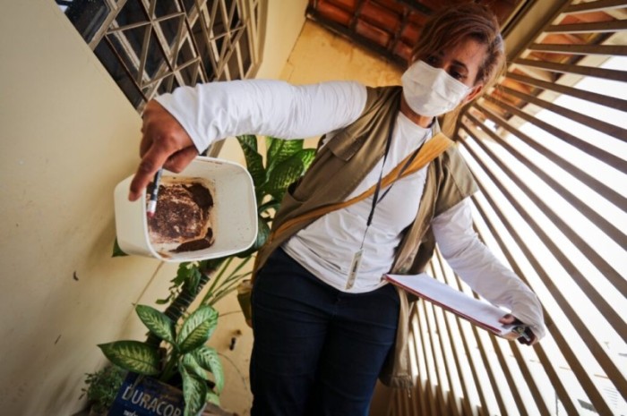 Agentes de combate à dengue serão homenageados na CLDF