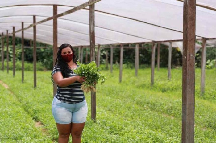 Reserva de Desenvolvimento Sustentável do Juma receberá mutirão de regularização ambiental