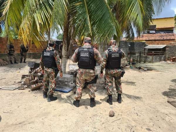 BPMA da PMCE resgata 74 animais silvestres de cativeiro no município de Aquiraz