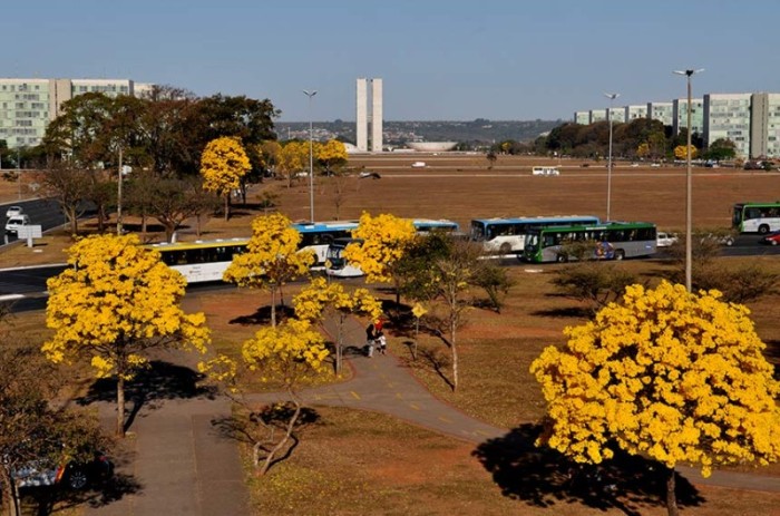 Aniversário da capital é celebrado em 21 de abril. Data da cerimônia ainda será marcada - Paulo H. Carvalho/Agência Brasília