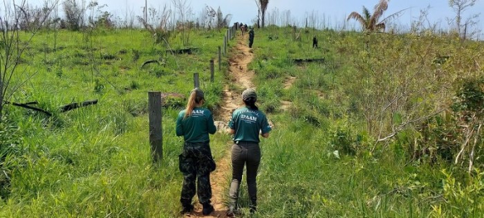 Dia Internacional das Mulheres e Meninas na Ciência: Ipaam destaca a atuação feminina