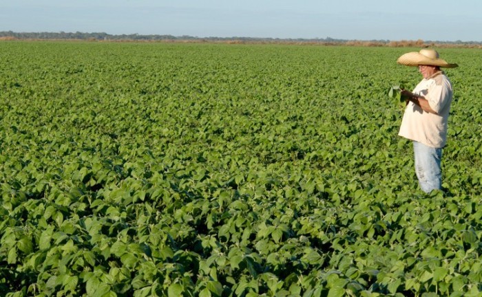 Governo do Tocantins participa do lançamento da cartilha sobre Programa de Apoio ao Seguro Rural