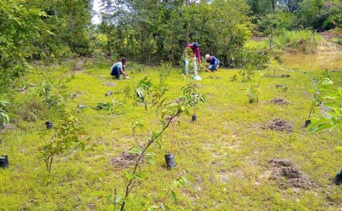 Secretaria do Meio Ambiente discute com empresa sobre a revitalização da Bacia Hidrográfica do Rio Manuel Alves de Natividade