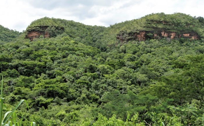 Secretaria do Meio Ambiente e Recursos Hídricos realiza capacitação para municípios sobre o ICMS Ecológico