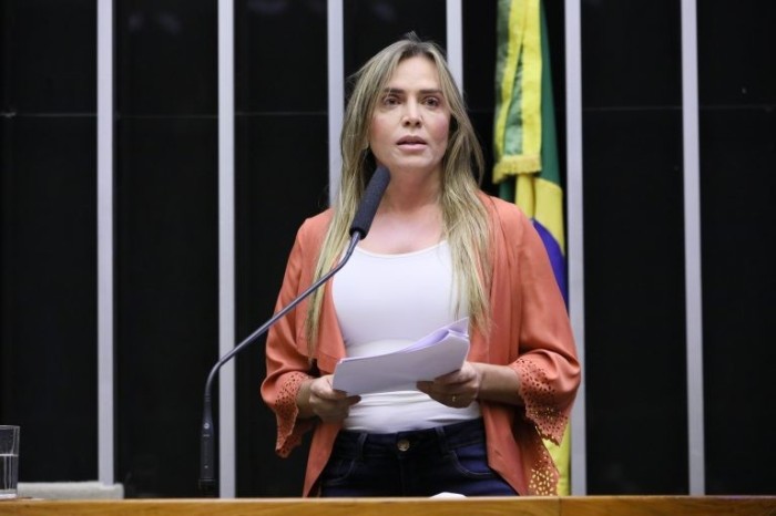 Celina Leão destacou a votação de 69 proposições em 2021, das quais 21 viraram leis - (Foto: Cleia Viana/Câmara dos Deputados)