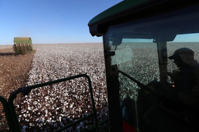 Marcos Oliveira/Agência Senado