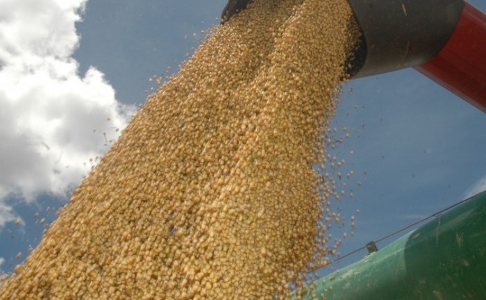 Produção de grãos deve superar a marca da colheita anterior nesta safra 2021/2022 no Tocantins