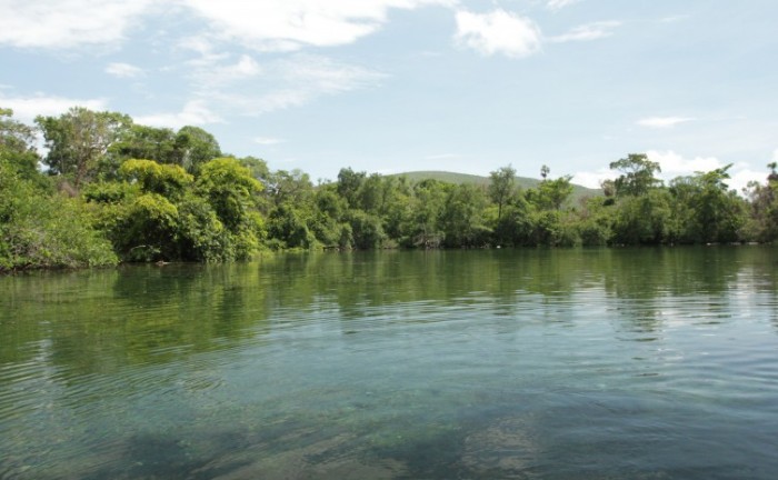 Conselho Estadual do Meio Ambiente aprova criação de Câmara Técnica Temporária para análise da Minuta do Anteprojeto de Lei que institui a Política de Pagamento por Serviços Ambientais