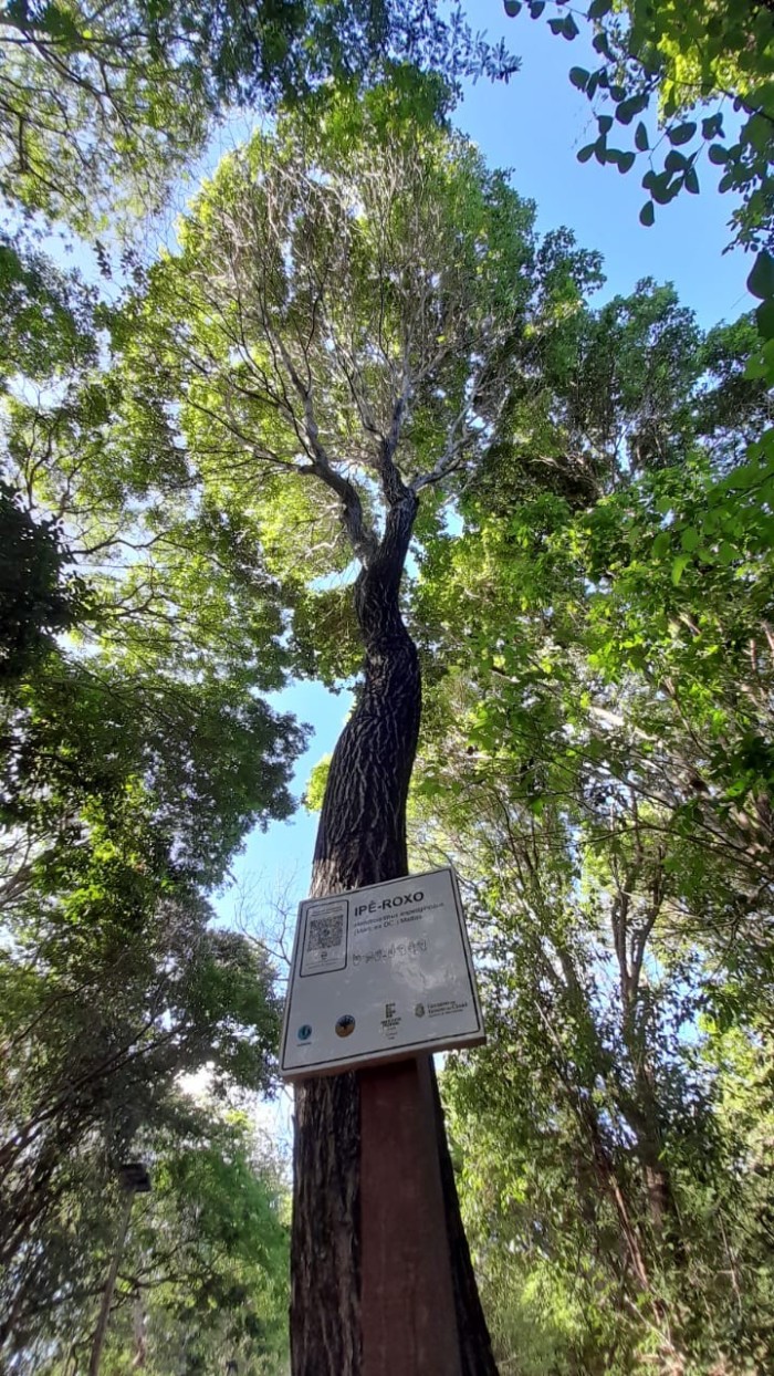 Parque Botânico ganhará Ecomapps neste domingo