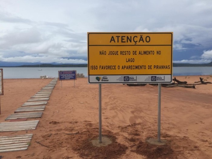 Governo orienta população sobre como evitar ataque de piranhas no Lago do Manso