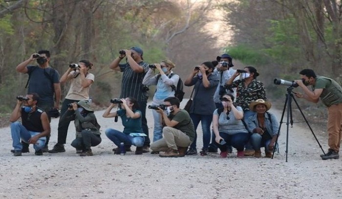 Evento “Vem Passarinhar MS” promove o birdwatching e inaugura placa com espécies de aves em Corumbá