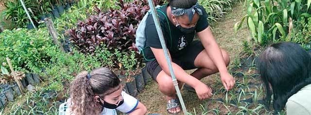 Curso profissionalizante de jardinagem e paisagismo abre nova turma