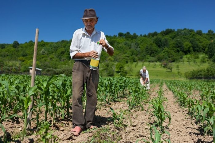 Projeto isenta trabalhador rural de multa para aderir ao Regime Geral de Previdência Social?