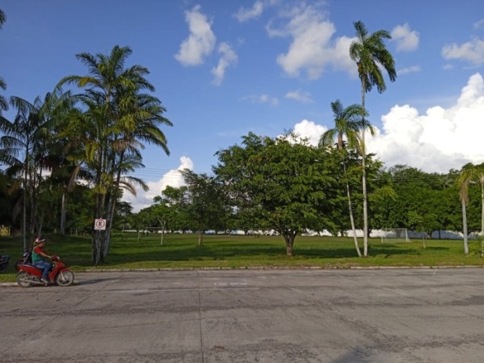 Estudantes mapeiam áreas verdes para orientar moradores sobre preservação ambiental em Tabatinga
