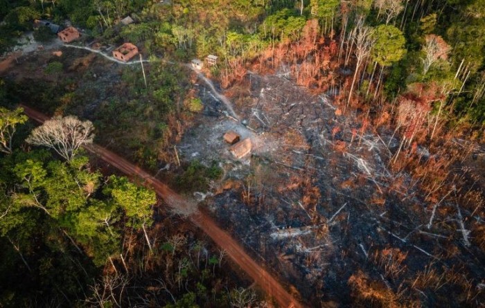 Proposta regulamenta Fundo Amazônia em lei
