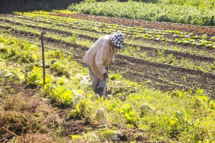Projeto assegura recursos para assistência técnica e extensão rural