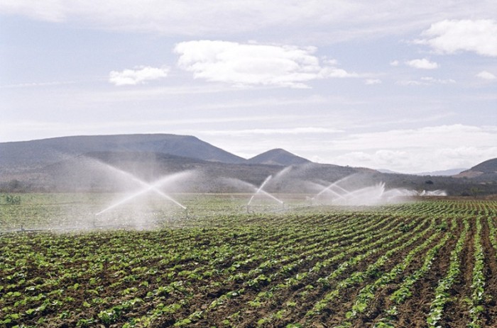 CRA discute Plano Nacional de Fertilizantes na quinta-feira
