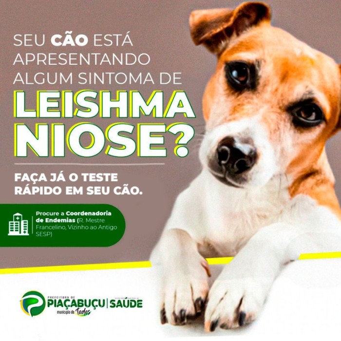 Todos contra a Leishmaniose!