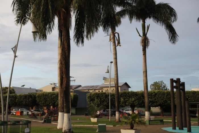 Museu de Lucas do Rio Verde reúne pioneiros para inventariar palmeiras históricas