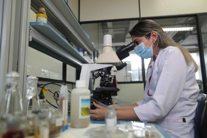 Mulheres na ciência: pesquisadora coordena acervo genético com 2,5 mil espécies de microorganismos da Amazônia