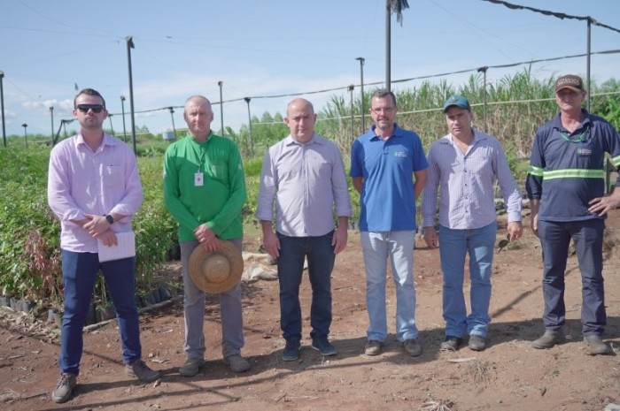 Ornamentação de Lucas do Rio Verde atrai visita de representantes de Tangará da Serra