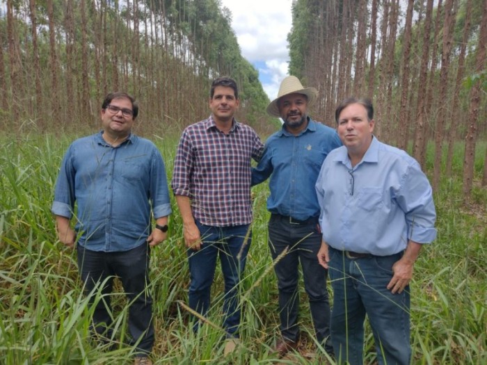 Secretaria de Desenvolvimento Rural e associação de silvicultores dialogam durante dia de campo