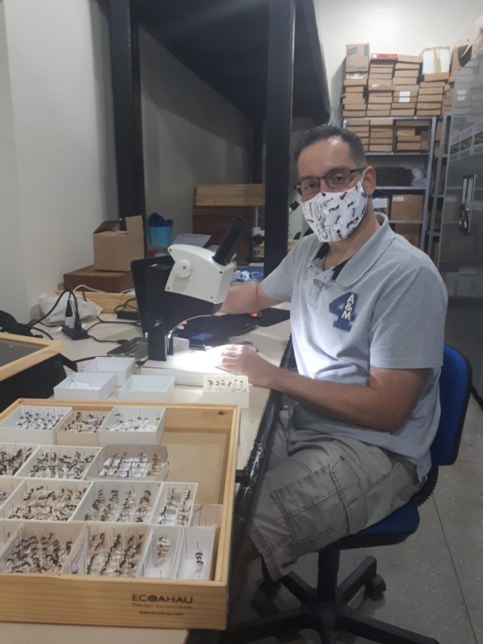 Governo do Estado apoia pesquisa sobre novos insetos da Amazônia