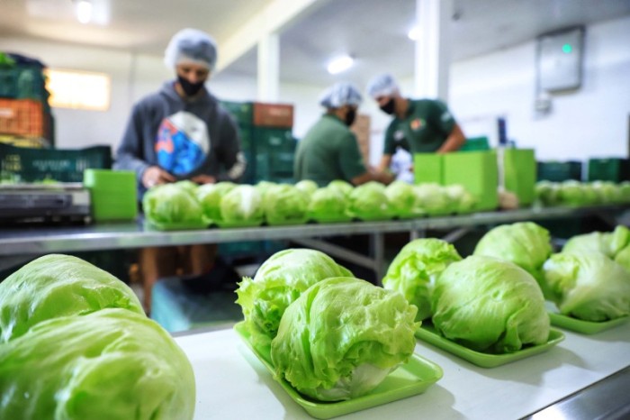 IDR-Paraná firma cooperação para ampliar certificação de produtores orgânicos na RMC e Litoral