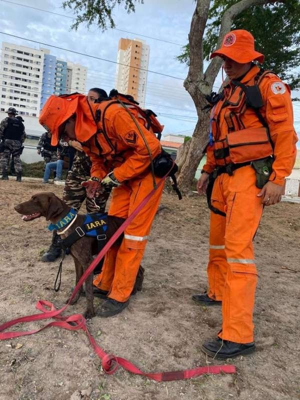 Corpo de Bombeiros forma primeiro binômio especialista em mantrailing do Ceará