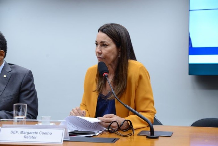 Relatora mantém punições para partido que não apresentou 30% de candidaturas femininas