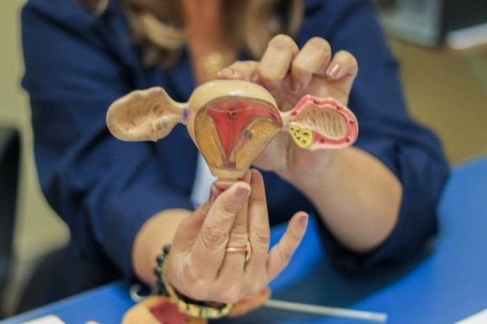Projeto assegura autonomia da mulher na escolha de contraceptivos