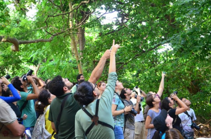 Neste fim de semana tem feira agroecológica, a volta do Passarinhar, Viva o Parque e ato de amor ao Cocó
