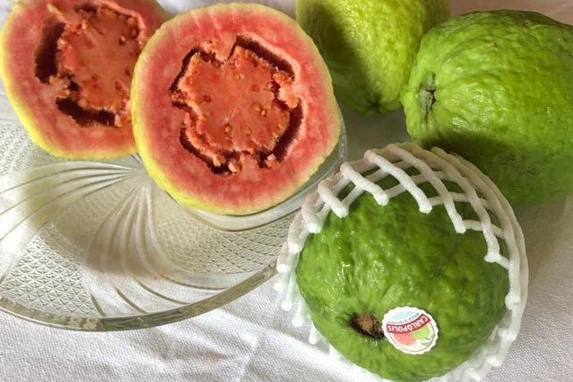 Fruticultores do Norte Pioneiro conquistam selo global e ganham mercado externo