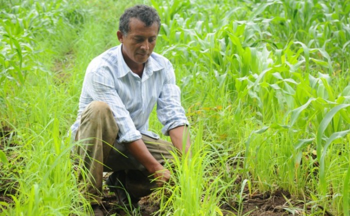 Seagro abre inscrições de Credenciamento Social de Agricultores Familiares para Agrotins 2022