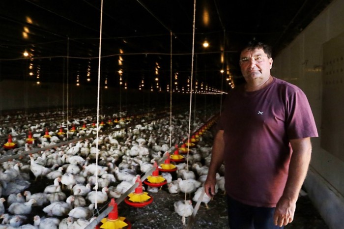 Com juros subsidiados pelo Estado, Banco do Agricultor já muda a realidade dos paranaenses