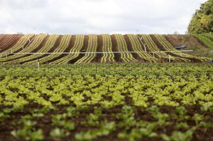 Estado e Crea-PR modernizam sistema de acompanhamento da subvenção ao prêmio do seguro rural