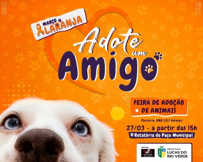 Feira de adoção de cães acontece neste domingo na rotatória do Prefeitura