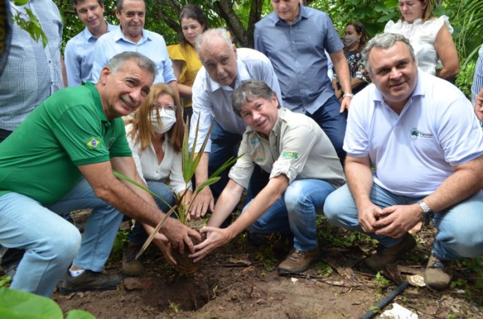 Foi dada a largada para a recuperação da Fazenda Raposa