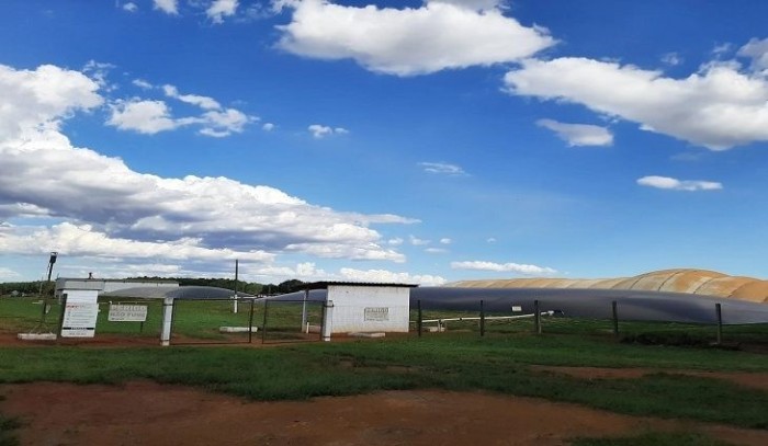 Carbono Neutro: suinocultura e setor sucroenergético credenciam MS como protagonista em biometano no país