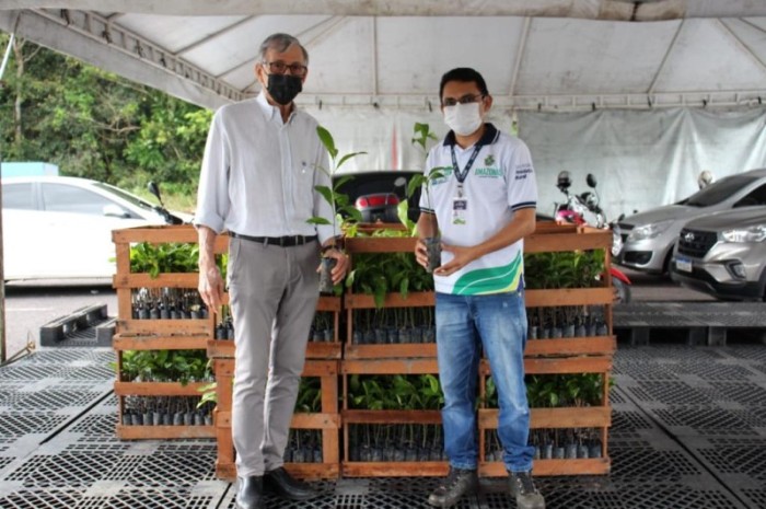 Idam e Instituto Excelsa finalizam entregas de 70 mil mudas de castanha-do-Brasil para municípios do AM