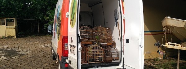 Semad / Divulgação