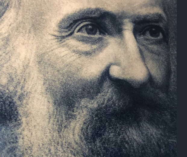 MUSEU HISTÓRICO DE SANTA CATARINA RECEBE EXPOSIÇÃO SOBRE 200 ANOS DE FRITZ MÜLLER