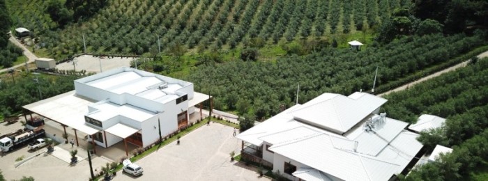 Azeitech 2022 reúne olivicultores da Mantiqueira