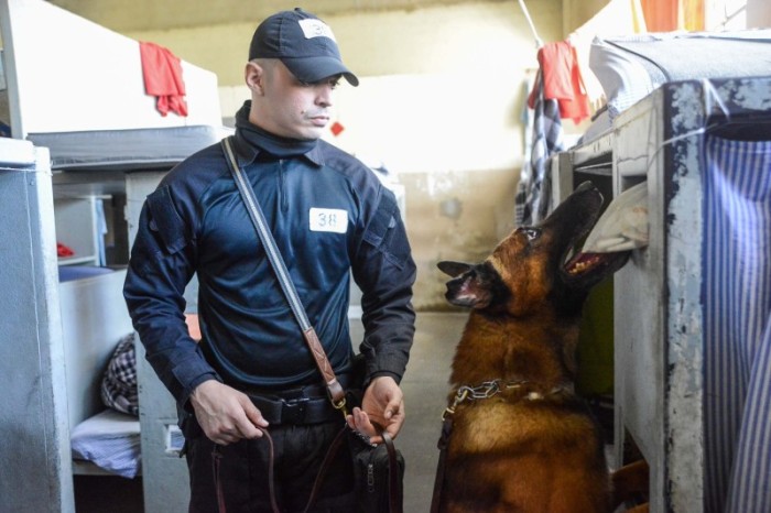 Policiais Penais do Piauí concluem curso de operação com cães em ambientes carcerários