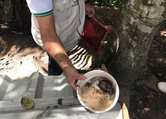 Nota técnica da Saúde orienta intensificação do monitoramento de dengue, zika e chikungunya no Amazonas