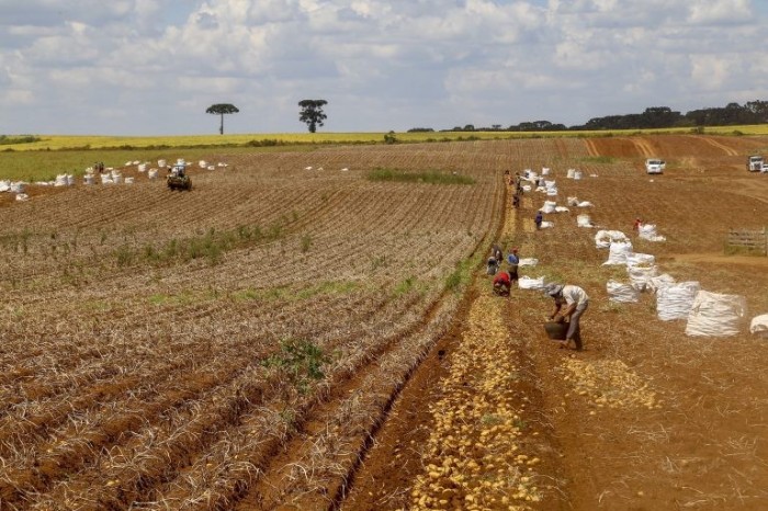 Governo edita medida provisória para liberar R$ 1,2 bilhões a agricultores atingidos pela seca