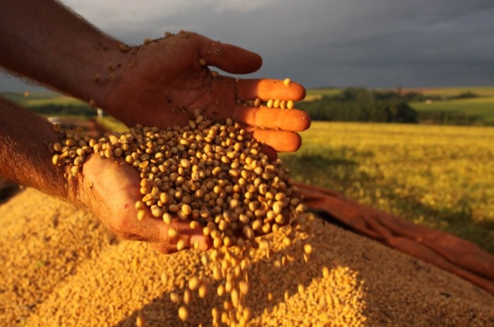 MP libera R$ 1,2 bilhões a agricultores atingidos pela seca em MS, PR, RS e SC